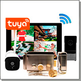 Комплект беспроводной Wi-Fi видеодомофон SkyNet 1000 (1+1+AX042) + камера и замок